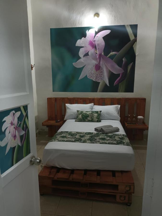 Hospedajes El Jardin Envigado Exterior foto